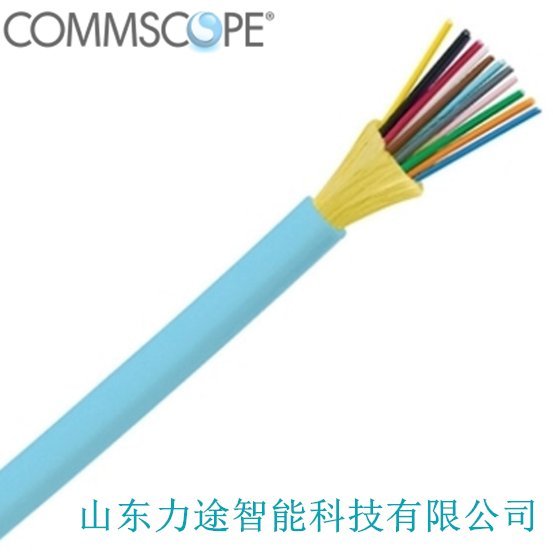 ɽ|ɽ|Iݖ|I̩ĳǵ̩R-012-DS-5K