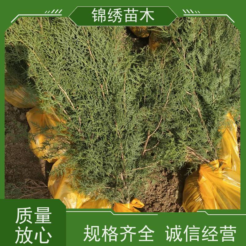 ȰalļɽоǦÂȰؘҎx