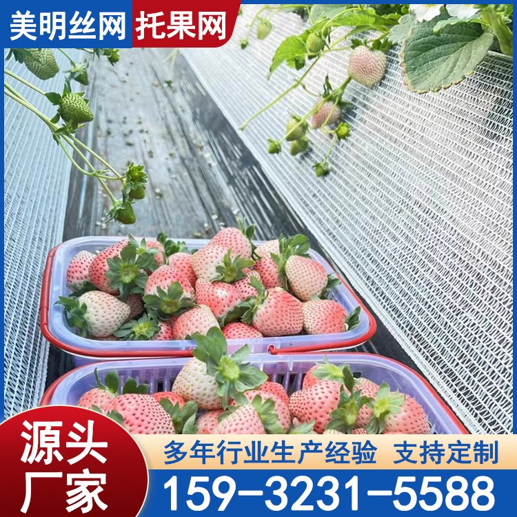 ߼ܲݮйWйAйWwoøxоW