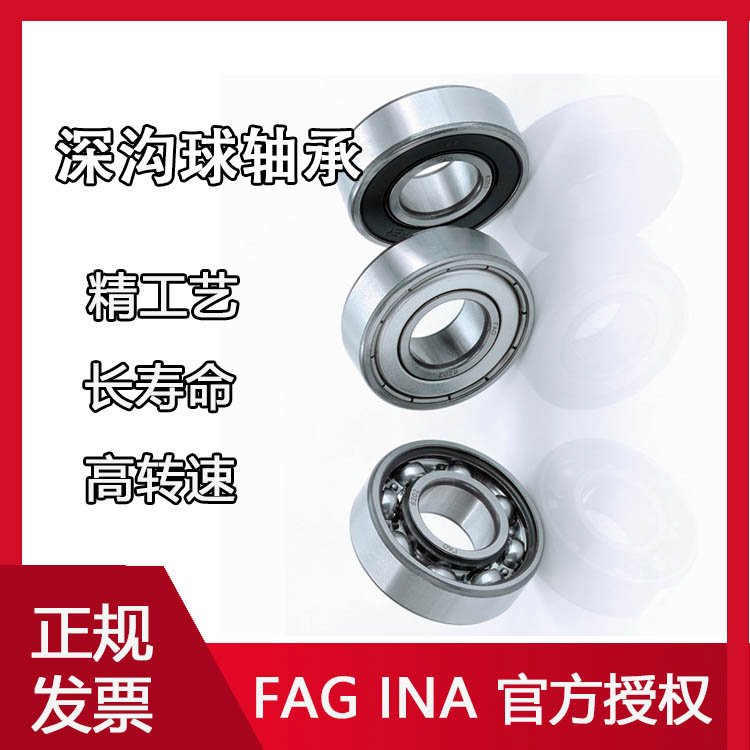 FAGSІЛ_䓰屣ּ6010-2RSR-L138