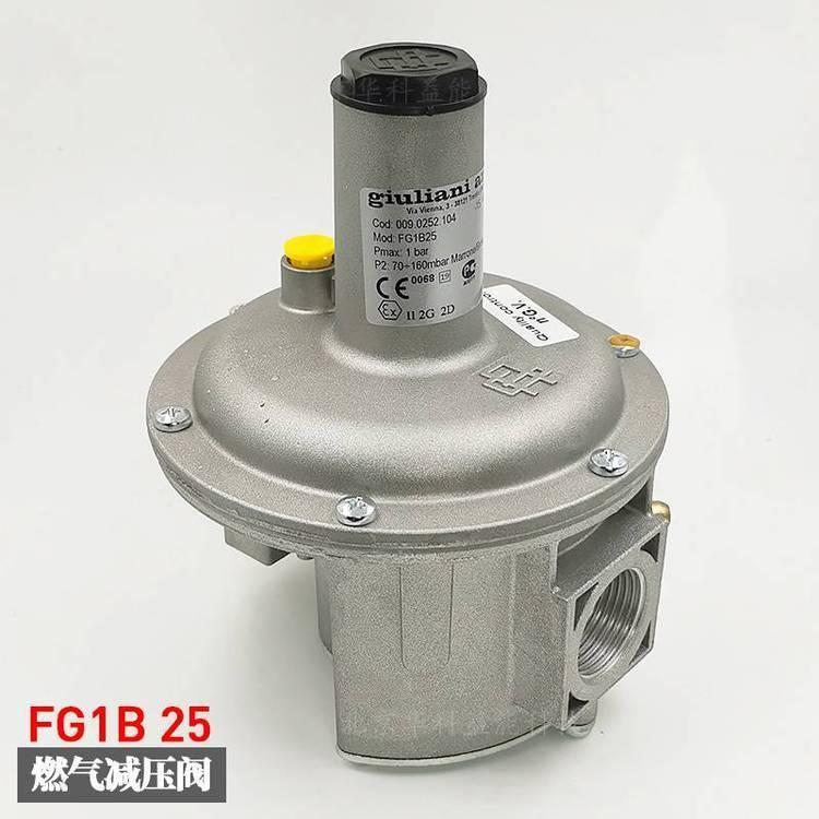 GiulianiȼpyFG1B25ԭa