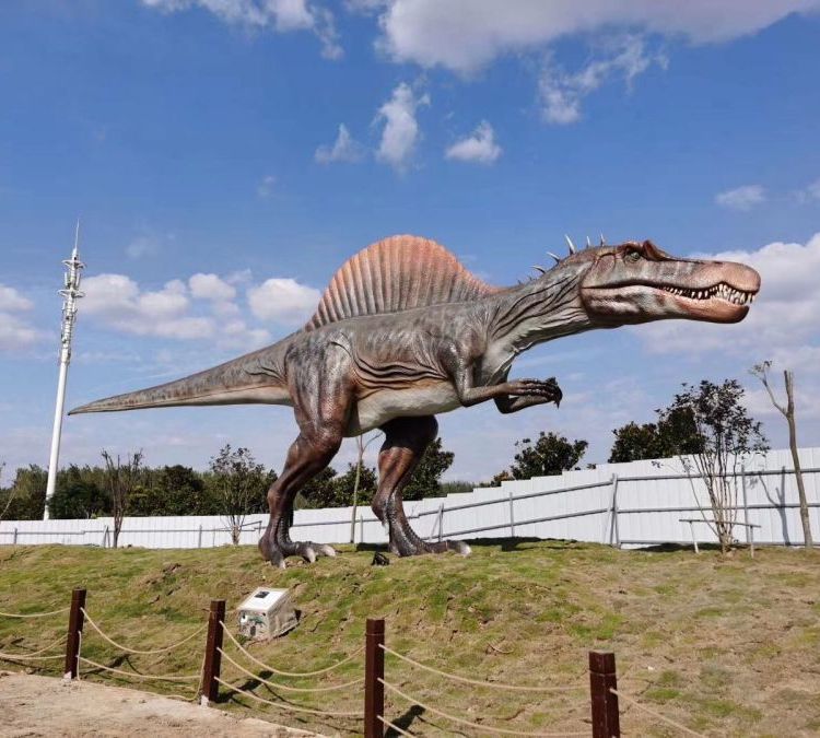 h٪_oģͰRչ[O乤SYԴ