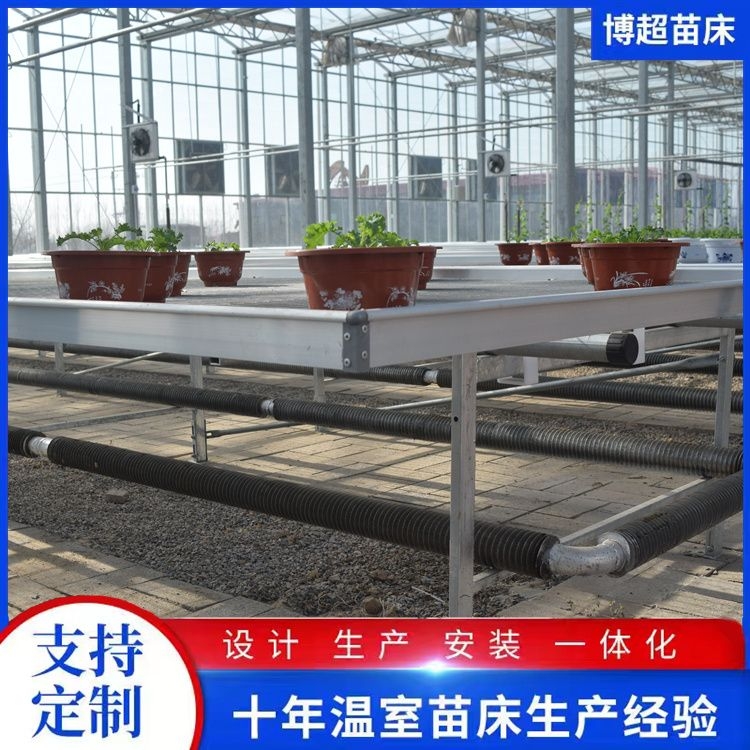 \֧ˮNֲƾWƬ紲rINֲ