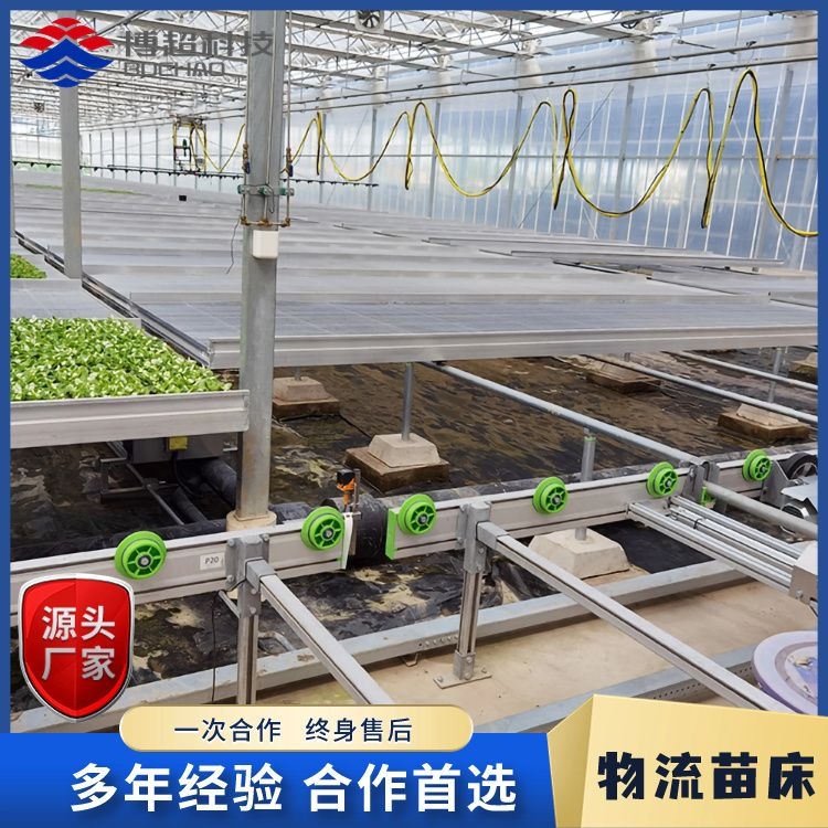 ƄӶ܉ʽ紲CˮһwwSN