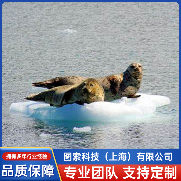 SPLASH10-F-297˺Sr鿴ẖOغ͹