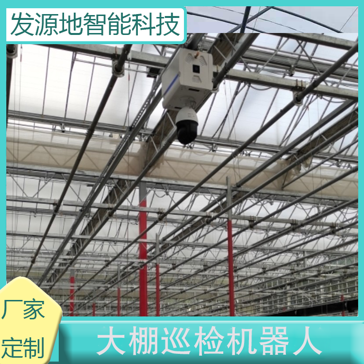 rIBֳƤCѲzCȫԄӱOymrgLlԴ