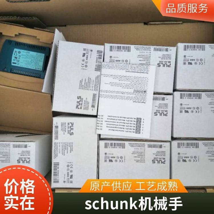 ۿschunk1460275JGP-P125-1_ȻĄ