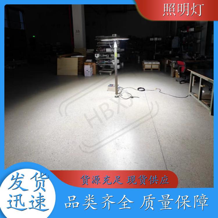 ʽԮôn2*250W늉Դx