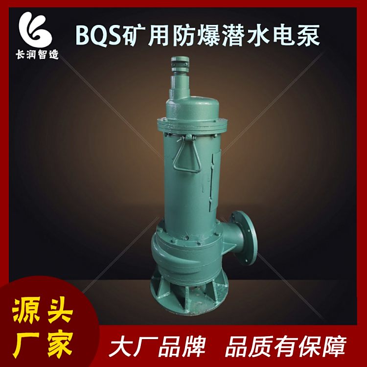 BQS600-10-45\/BVɽ÷ˮ늱45KWoø۱