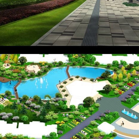 ߲ľܷNֲĿо