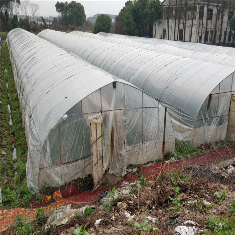 r߲˴rIOʩҟ\ܸĤY͸ⱣطNֲ