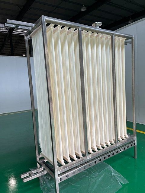 MBRĤпwSʽĤPTFEĤMMBRĤMĤMMBRĤ