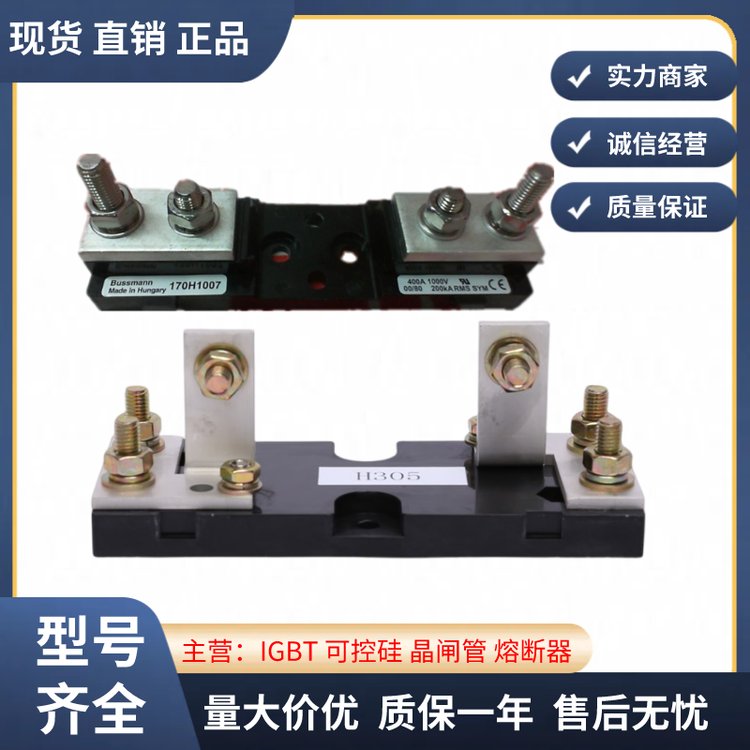bussmann˹170H1007170H1013ȫԭb170M۔Uz