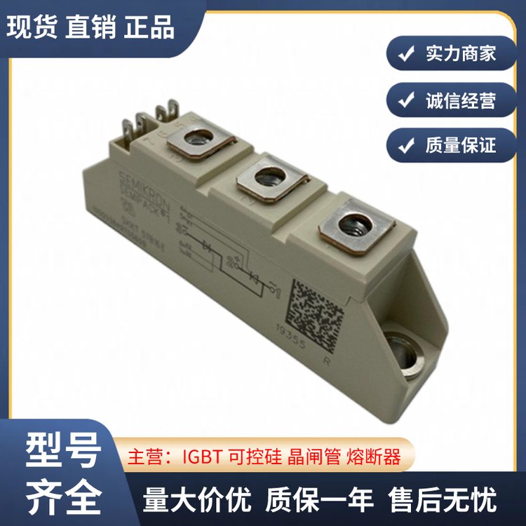 ԭbTSKKT105\/16ESKKT172\/18Eȫ¾lܿɿعģKIGBTģK