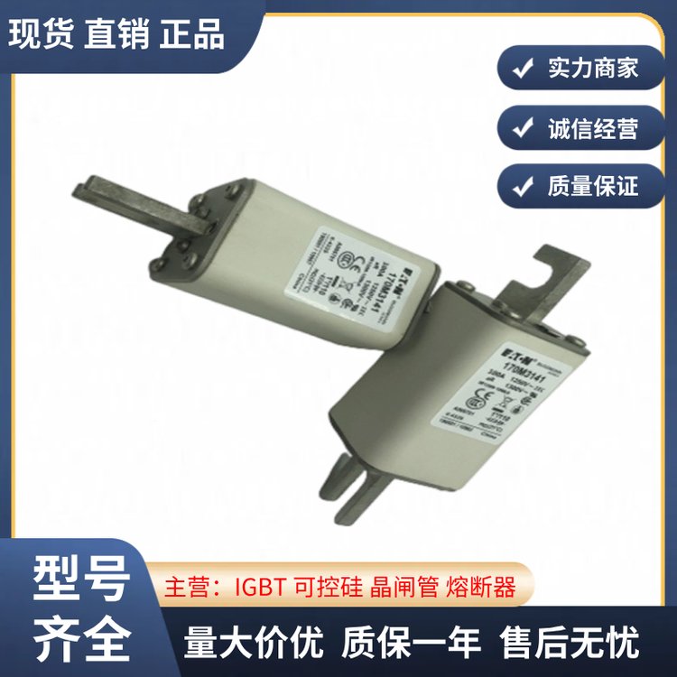 170Mϵȫԭb˹BUSSMANN۔170M3141оUz