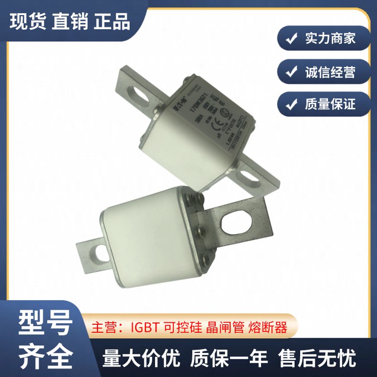 Iۺ˹BUSSMANN۔170M3621·o늚⌣۽z