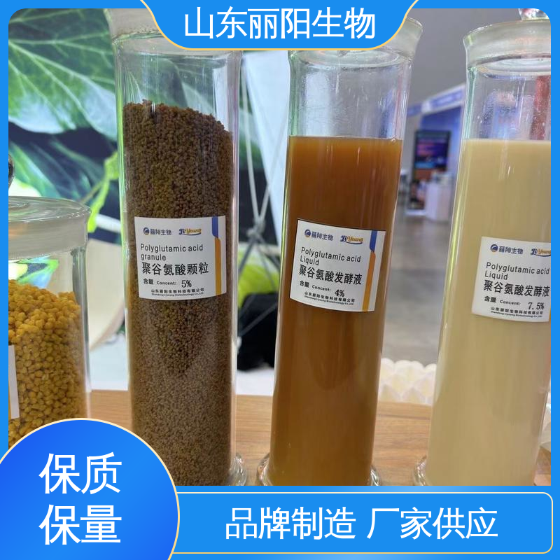 Դ^SrYN99MϵLyƷ۹Ȱ