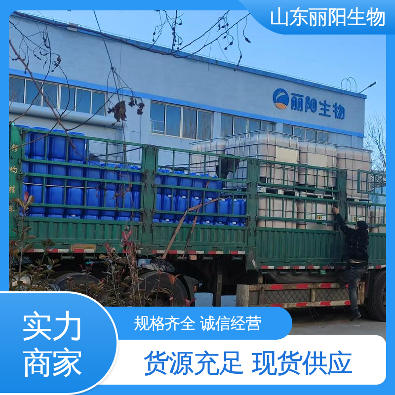 SֱMۺϳ20ϏSҌþ۹Ȱۄ