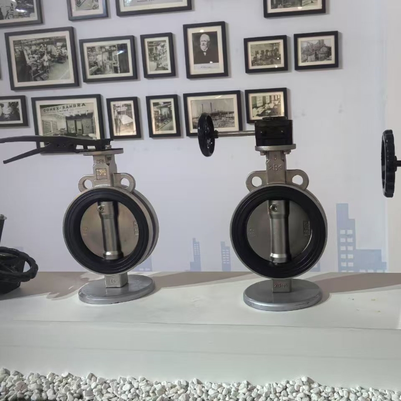 BWLS_BWGS겻PֱAʽоԵy-B̘