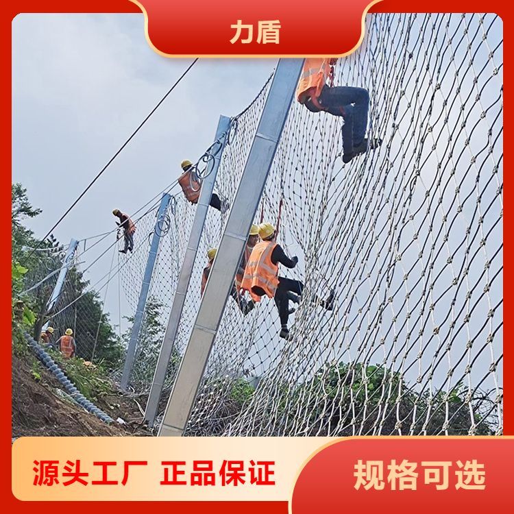 SNS߅·oWٹ·ɽwɽWF؛Ʒ