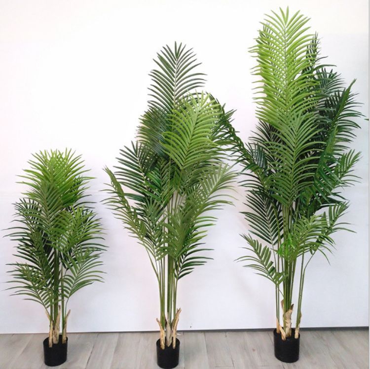 SֱNɢβ辰WinsֲPβҾbGֲ