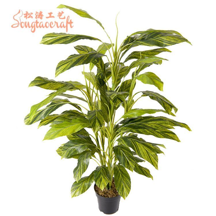 ɝˇf辰ֲ҃Ȉ@־^SֱN