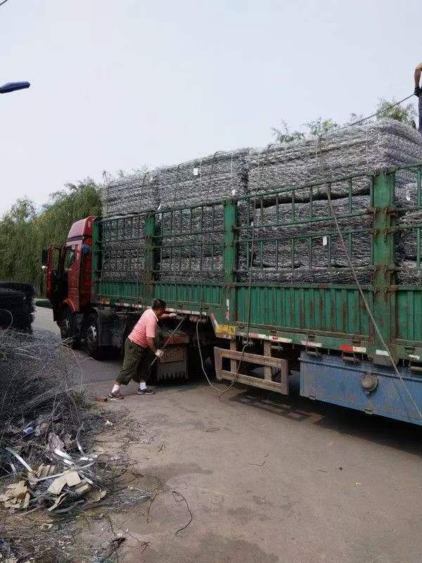 僸ߠZo|̼䓽zʯ\WpWe͸g