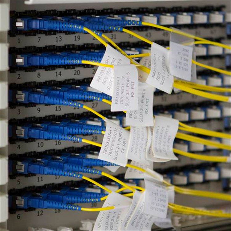 CϲoAPw늹k\/WУ\/̴v