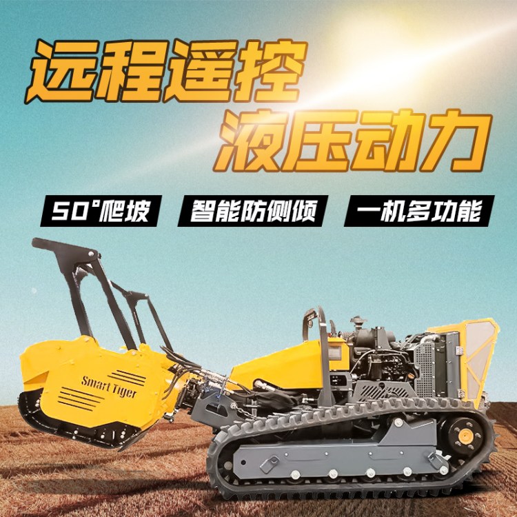 ·o_ęCȫo_ĸC@ֲݙC