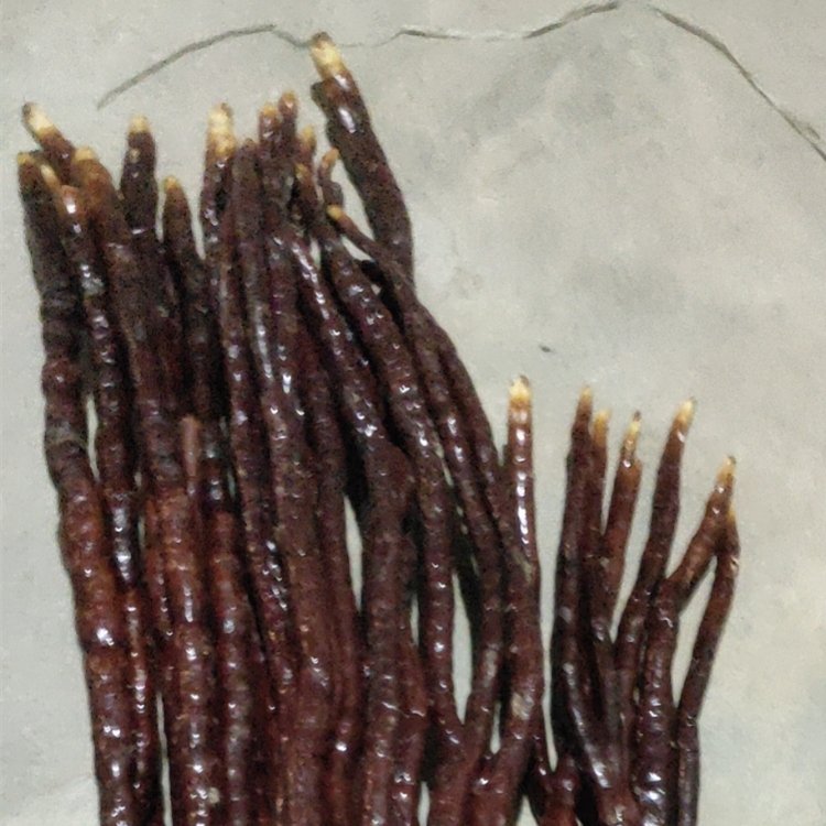 aع¹`֥r^p38cm`֥S؛Դ