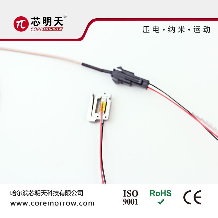 оXD011-BCŴلξoг_6.2m