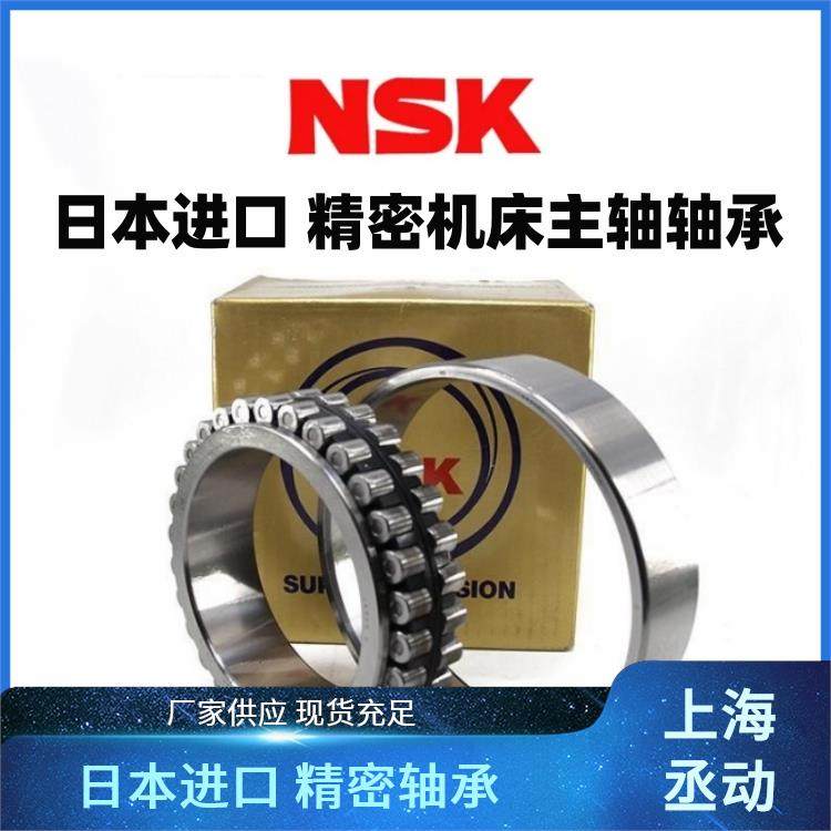 ձNSKSNN3007MBKRCC0P5CSSpЈALS