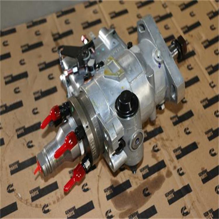 STANADYNEȼͱÿ˹4BTgKTA38Ƥo݆2888888