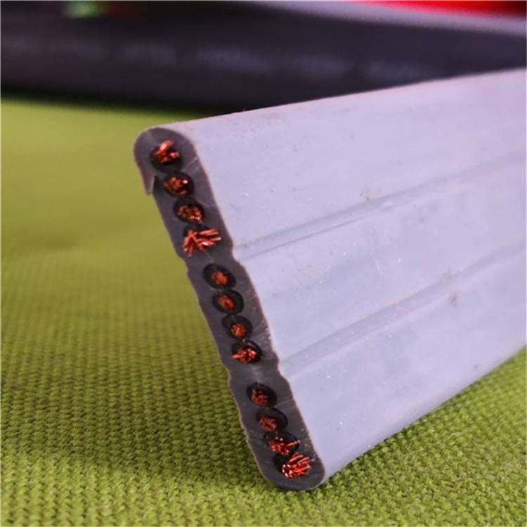 Sб||TVVB4*6.0mm2݌|