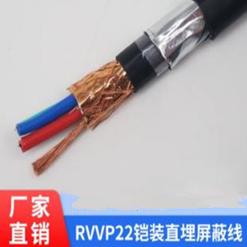 \fֱZR-RVVP22̖|ȼzb̖S