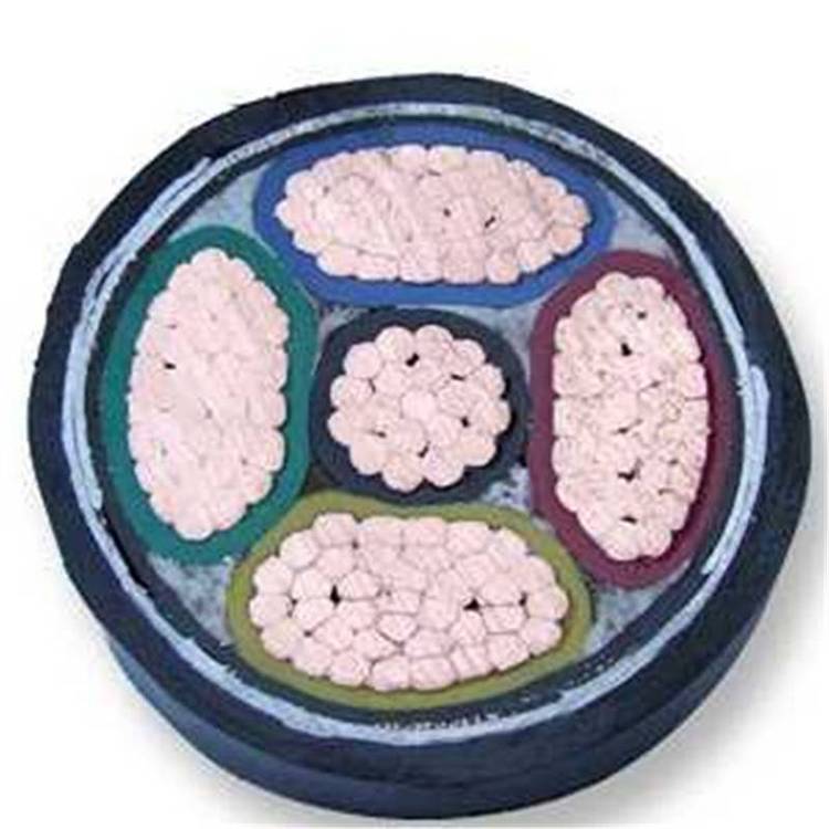 ׳|ZA-YJVR621*300ɫȼzb|