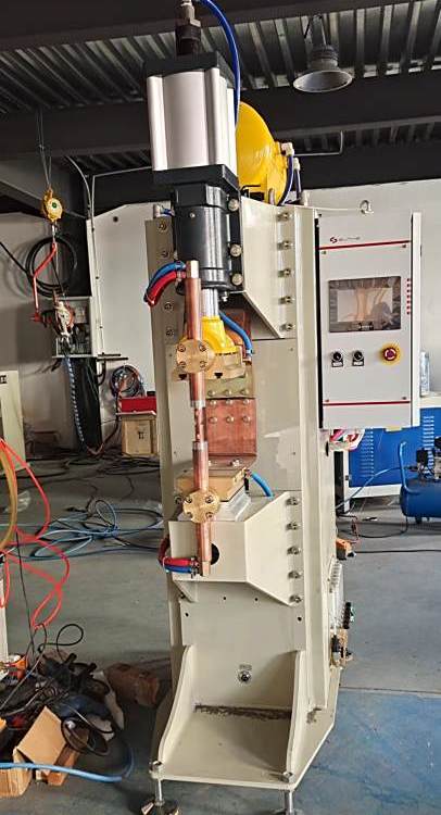 ԁĸcCDNMϵԄһwOɷǘ˶