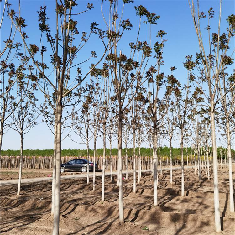 Ԉ-ľaI-12\/15\/18ǧ^-֦c-