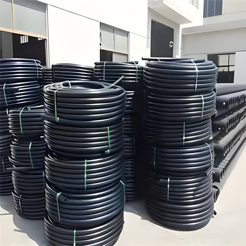 ڏֱpePܸܶgԏDN150v_R̩