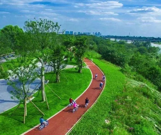 ˮԲɫrۺ·Ϟrɫ愩JD003