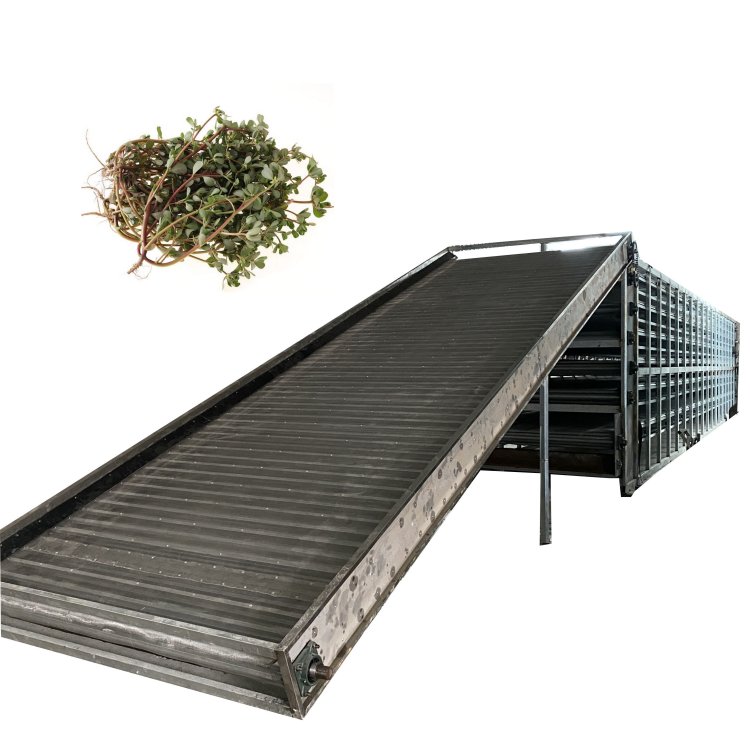 RX{˾WʽəC߲˸߲PѭhʽʽəC