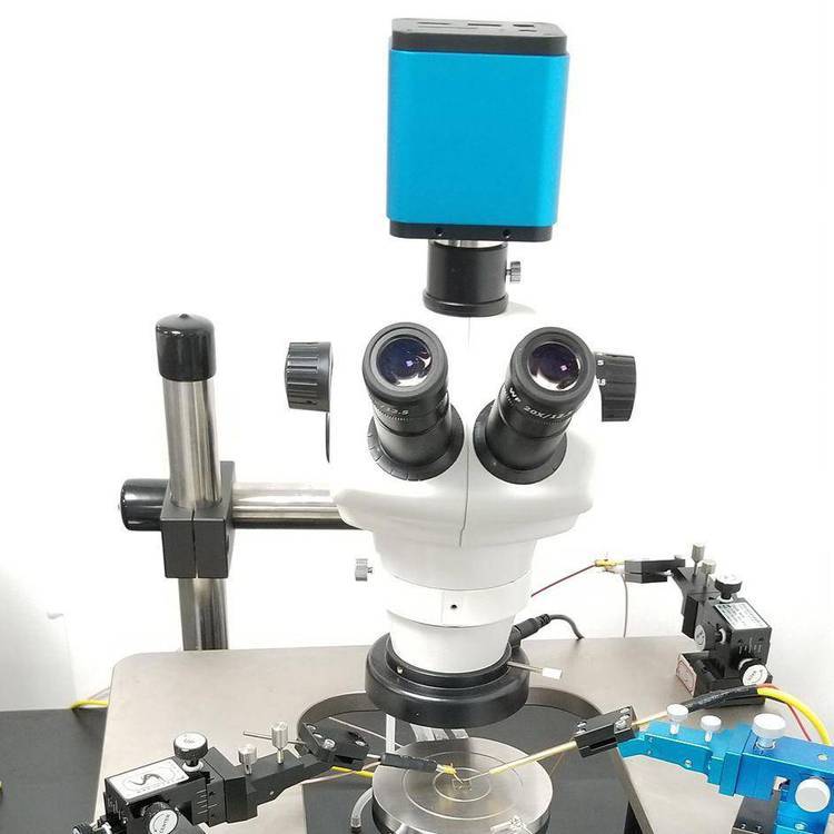 8оƬ̽_̽ƄӾ̽ᘽ^