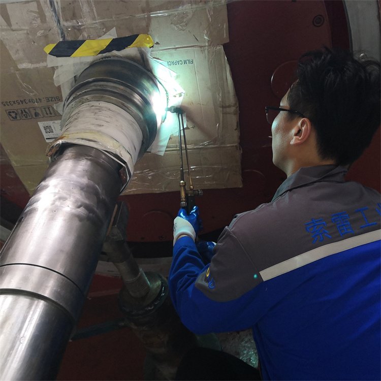 늙CDSĥpޏ׹ISޏSĥpS