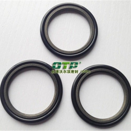 OTP֠픸RȦPTFE NBR|aSSÿ÷ȦGRS,GSJ