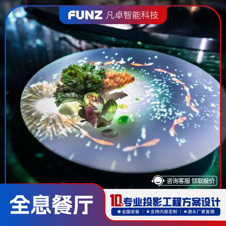 ʽȫϢ3DӰ͏dOӋb޹ͶӰOSһվʽ