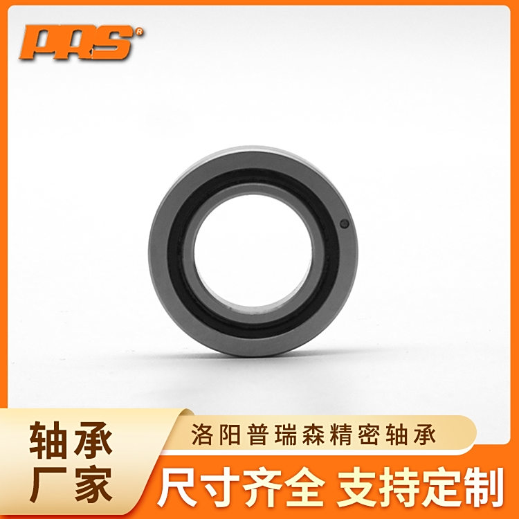 XRBH2008IڽLSȫϵɭS