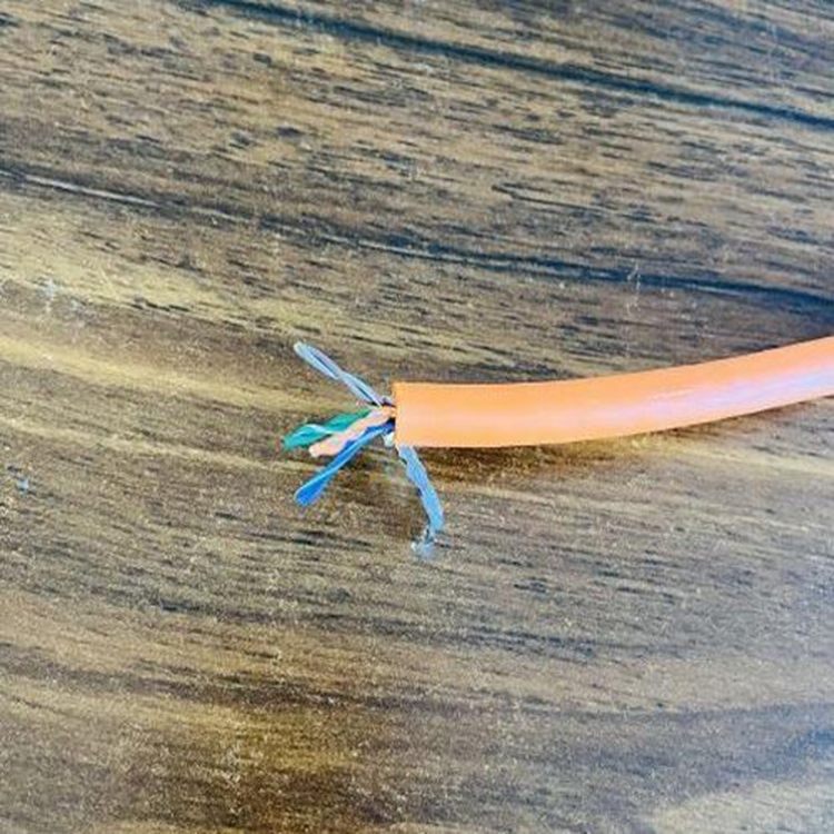 Դ^ֱ͸ߜؾW̖SҶNҎ