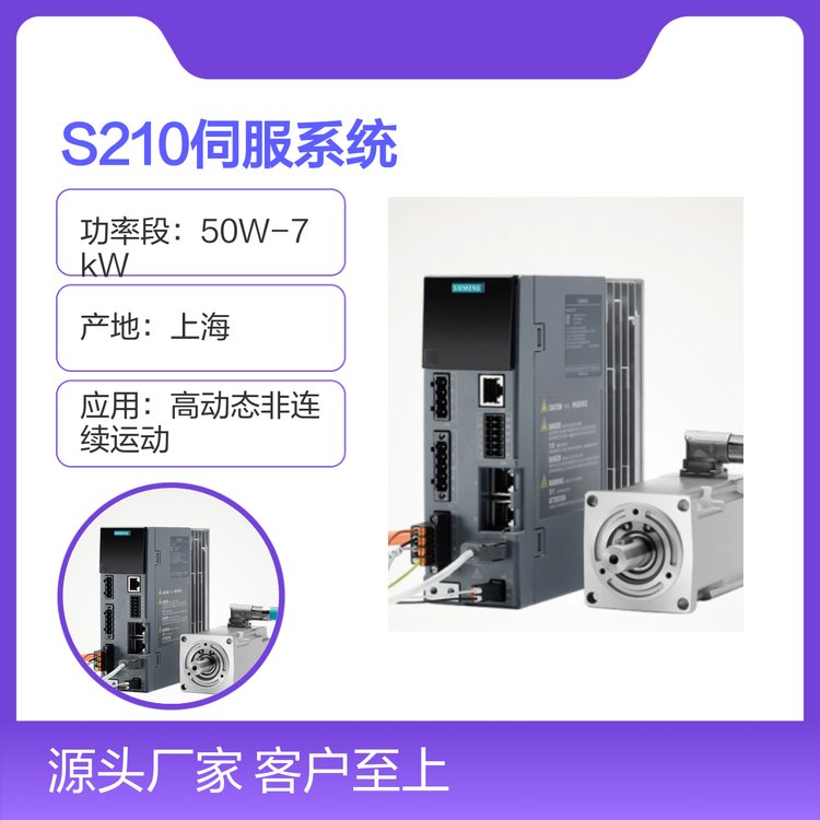 TSINAMICSS210ŷϵy܃