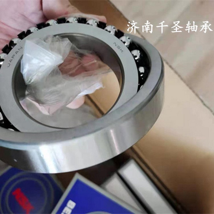 NSK1310{Sĥ͸ߜԭbƷ