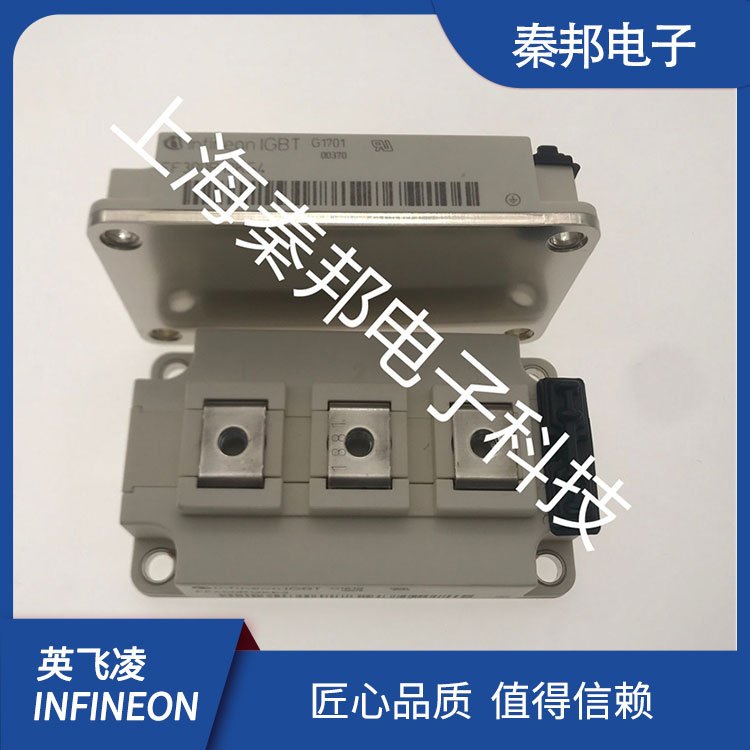 ذӢw-INFINEONƽOܱCԭbƷۺбṩg֧